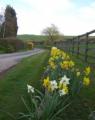 Yorkshire Holiday Cottages image 10