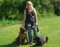 Your Home Dog Training image 2