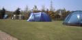 Yr Helyg, The Willows Caravan and Campsite image 1