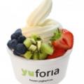Yu-foria Frozen Yoghurt Co. image 5