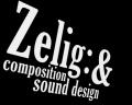 Zelig Sound: Composition and Sound Design image 1