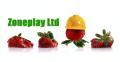 Zoneplay Ltd Health and Safety Consultants logo