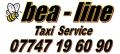 bea-line Taxi and Courier Service logo