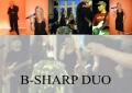 bsharpduo and disco image 1