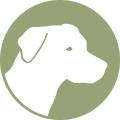gundog-training4u.co.uk image 1