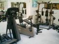 gym in a garden image 3