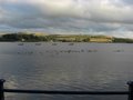 hollingworth lake b and b image 5