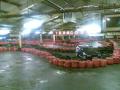 karting2000 image 6