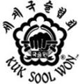 kuk sool won of widnes image 2