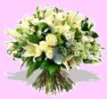 lupins mobile florist image 1