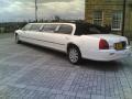 northeast limo hire logo