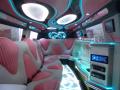 pinklimo4u image 2