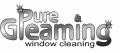 pure and gleaming window cleaning logo