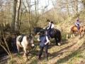 self catering holidays shropshire image 6