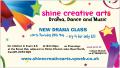shine creative arts image 6