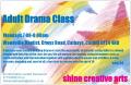 shine creative arts logo