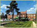 the beechwood inn logo