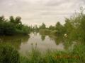 townsend lakes fishery image 9