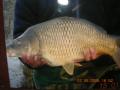 townsend lakes fishery image 1