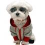 www.designer-dog-clothes.co.uk image 5