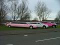 xtreme limos image 2