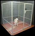 Clanross Dog Training image 4