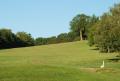 Daventry Golf Club logo