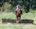 Tilford and Rushmoor Riding Club image 7