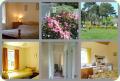 Lecale Cottages - Rostrevor Holidays, self catering accommodation image 4
