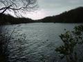 Newmillerdam Country Park image 5