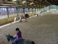 Newnham Equestrian Centre image 7