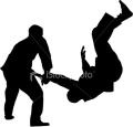 Kensa Martial Arts logo