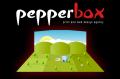 Pepperbox Design Ltd logo