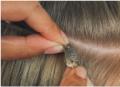 Hair Extensions salon image 2
