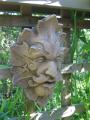 Mirabilis Design Home & Garden Sculpture image 4