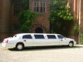 Pretty in Pink Limousines image 2