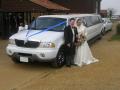 Abbey Limousines image 6