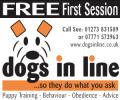 DOGS IN LINE ONE-2-ONE DOG TRAINING logo