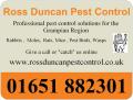 Ross Duncan Pest Control image 4
