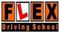 Driving school and lessons in London logo