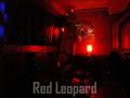 Red Leopard image 10