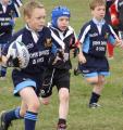 Treharris Mini and Junior RFC inc. Senior & Youth image 2