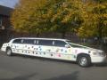 AKM LIMOS image 9