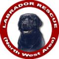 Labrador Rescue (North West Area) image 1