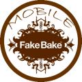 Fake Bake Spray Tanning Slough logo