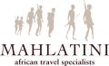 Mahlatini African Travel image 7