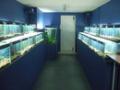 The Aquatic Store image 4