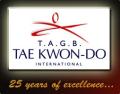 Wakefield Academy of Tae Kwon Do logo