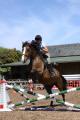 Newtonmore Riding Centre image 4