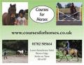 Courses for Horses image 2
